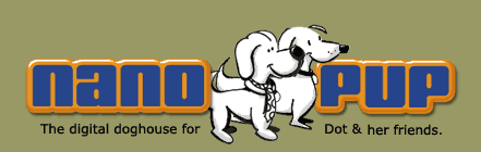 dachshund information